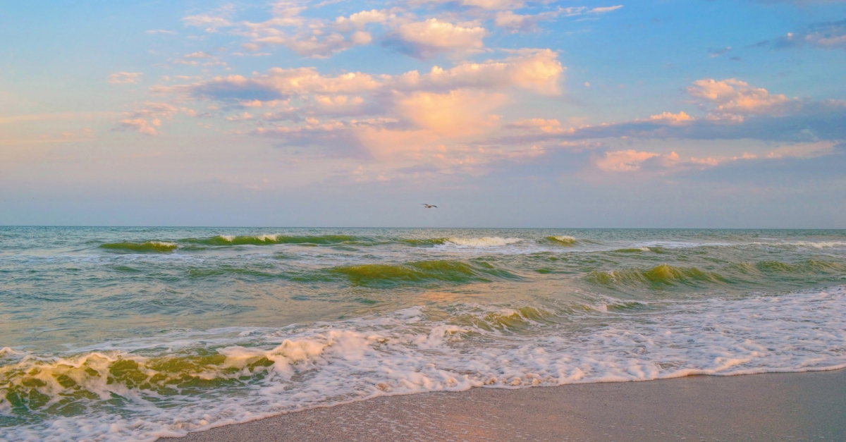 Почему азовское море носит имя Азовское: история названия и его происхождение