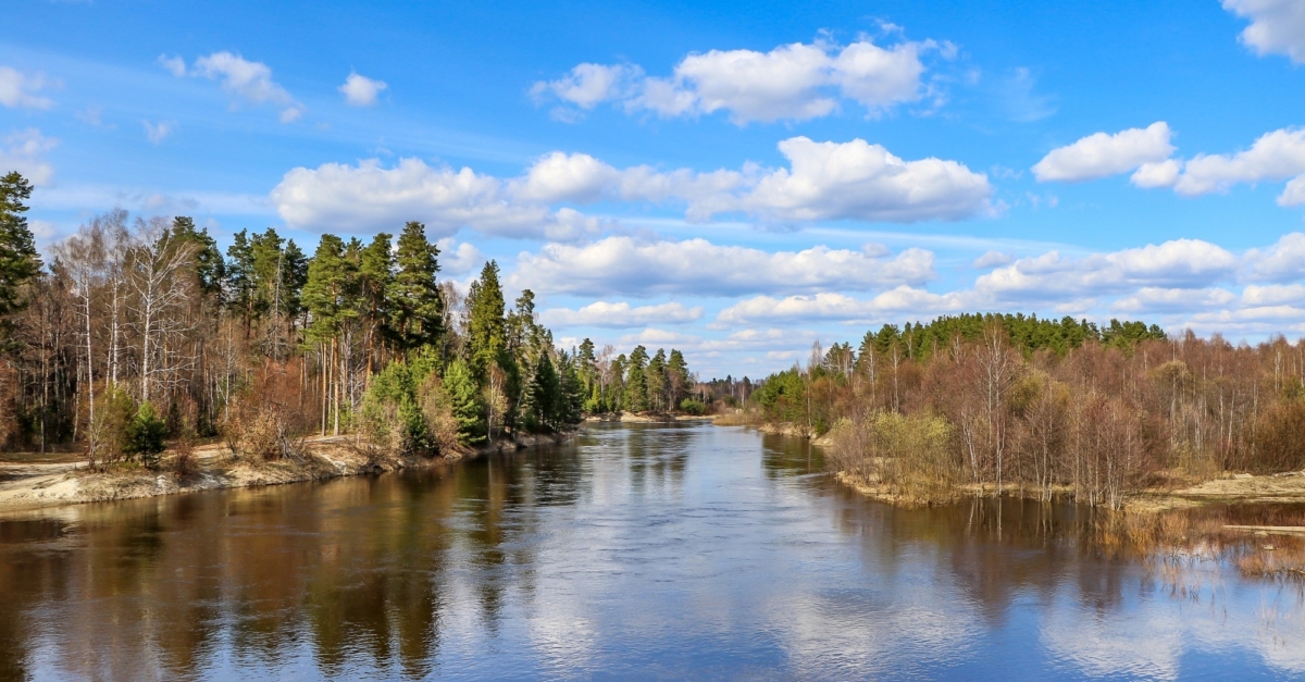 Керженский заповедник картинки