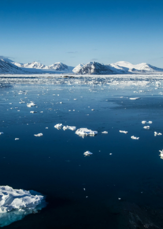 Новосибирские острова