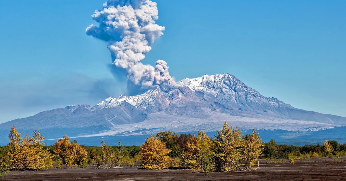 Вулкан шивелуч на камчатке фото