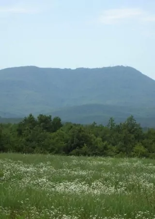 Гора Собер-Баш